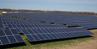Trao giấy phép đầu tư dự án điện mặt trời Solar Farm Nhơn Hải